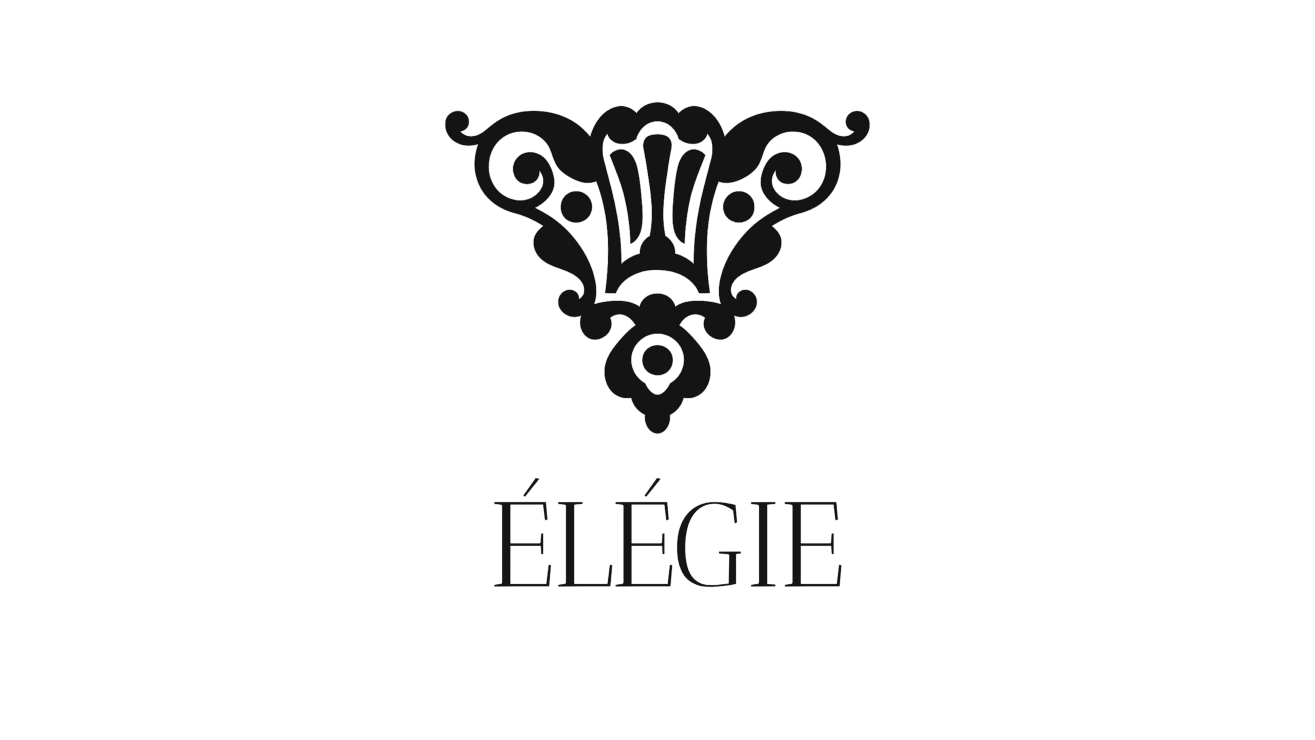 Elegie-paris
